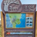 언제나봄날 민박 | [제주여행] 올레길 1코스(1): 오름과 바닷길의 환상의 조합(시흥리-제주올레 안내소-말미오름-알오름...