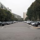 압구정-117 이미지