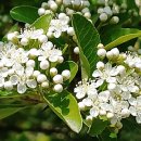 화원농장3 이미지