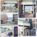 신자초등학교 이미지