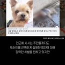 아보네 멍빌리지 이미지
