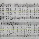 하늘보라 이미지