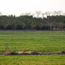 태신목장 이미지