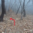 일곡천 Daum카페