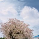 회수동-4 이미지