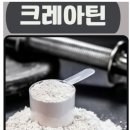 박PT 이미지