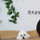 견공작소 이미지