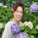 새들유치원 이미지