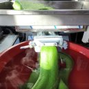 보문호반오리 불국사점 이미지