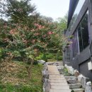 측백나무숲 주차장 | [울산] 부조화숲 / 울산 남구, 초록 가득한 자연에 위치한 분위기와 맛 다 잡은 식당 🍽️