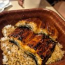 장어여행 이미지