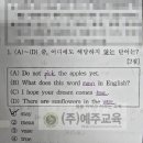경남중 1 이미지