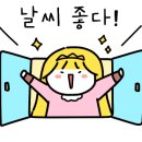 쏠라카페 이미지
