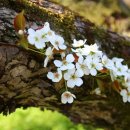 덕진마을 이미지