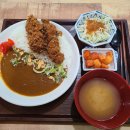 대구 산격동 맛집 산격시장 청년몰 코레와카레, 일식 카레 돈까스