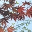 굿치과 이미지