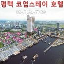 스테이현재 이미지