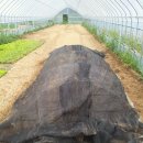 성하농장 이미지