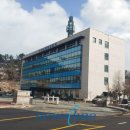 완도11호 이미지