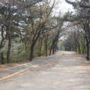 동작충효길 4코스 노량진길 이미지