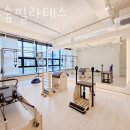 더숲필라테스 | 연수동필라테스 충주시 재활 체형교정 충주숲필라테스 가격 이벤트 후기