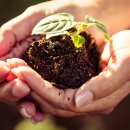 시티농장 이미지