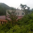 육동선착장 Daum카페