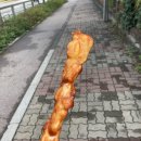 꼬치리아 이미지