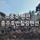 충주호반힐링 네이버블로그