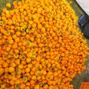 지리산해달원 이미지