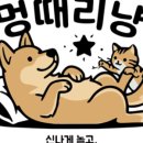 멍때리냥
