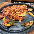 솔밭애