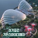 고산슈퍼 | 싱가포르 가든스바이더베이 완전정복! 클라우드 포레스트 쥬라기월드 및 슈퍼트리쇼 후기