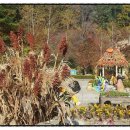 (주)봉평농원 이미지