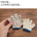 지구촌양말