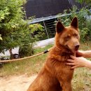 금순이농장 이미지