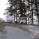 대관령 사파리 목장 이미지