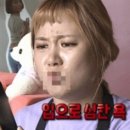 첨단탑약국 | [서유럽 패키지 여행] 12 Day(프랑크푸르트-&gt;인천, 여행후기)