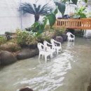 까치골농장 이미지