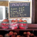 형제농장2 이미지