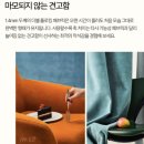 워너비호텔 | 카우치형 소파 추천 : 에싸 소파 워너비 4인 오픈코너 스윙 카시미라 패브릭 내돈내산 찐후기