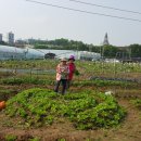 방자농장 이미지