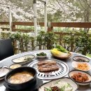증심사뚱돼지숯불갈비 | 광주 증심사 맛집 뚱돼지숯불갈비 무등산 벚꽃뷰 야외식당