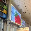 냉정로(냉정중앙길) | 속초 중앙시장 속초딸기모찌 내 돈 내산 후기 / 10개 세트 솔직한 맛 평가 / 웨이팅 / 포장