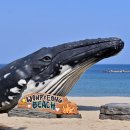 금성장여관 이미지