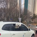 피앤피푸드 | 그만하긴 싫은 사람 모임(왕사남 후기,후르셰다마르칸트,카페 피앤피,사리역호떡,다이어트식단,런린이...