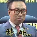 [에어버기] 일본 오사카에서 개모차 에어버기 돔3 라지 사오기