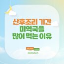 ( A )금줄산모도우미