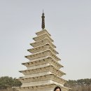 웰빙댄스스포츠 Daum카페
