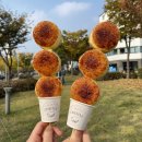 치플레 이미지
